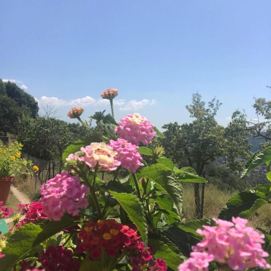살레르노 La Riggiola B&B 외부 사진