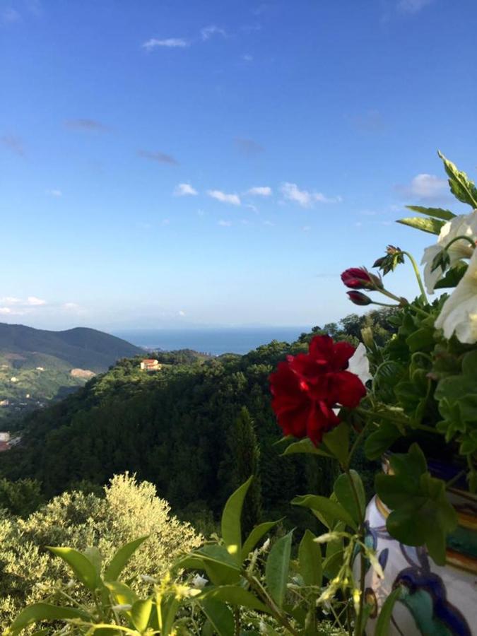 살레르노 La Riggiola B&B 외부 사진